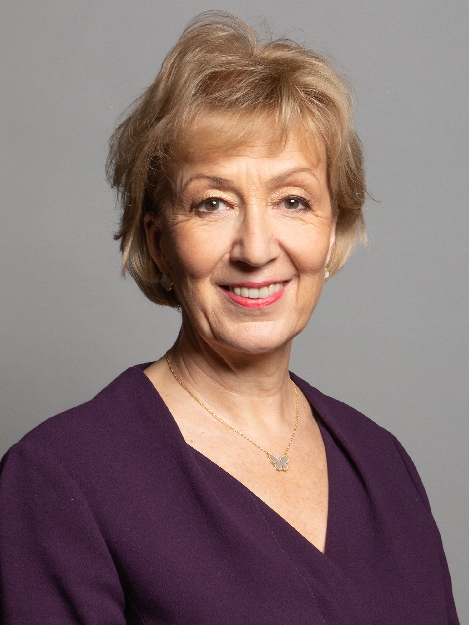 auteur Andrea Leadsom