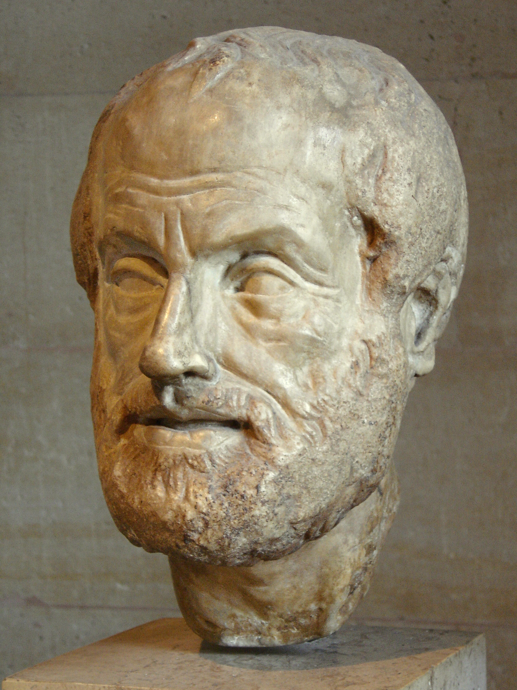 auteur Aristote de la citation Sans amis, personne ne choisirait de vivre, même s'il avait tous les autres marchandises.