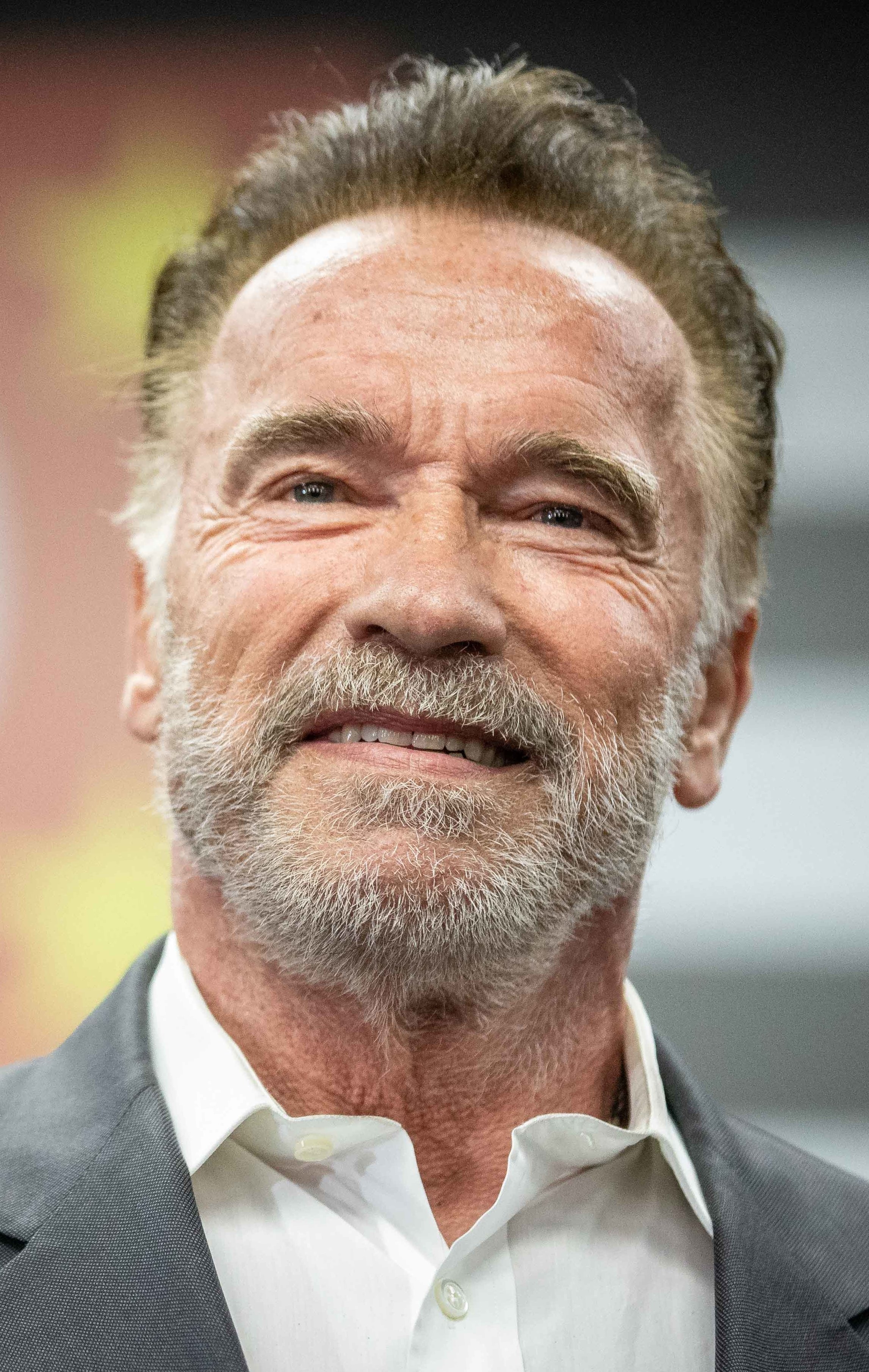 auteur Arnold Schwarzenegger de la citation J'adore la dinde de Thanksgiving ... c'est la seule fois à Los Angeles que vous voyez des seins naturels.