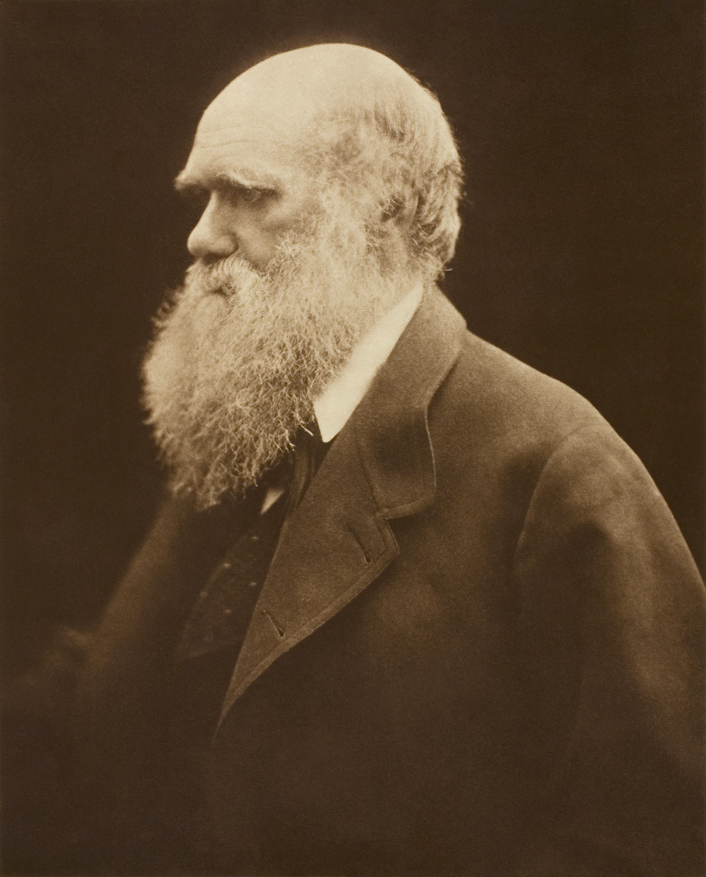 auteur Charles Darwin