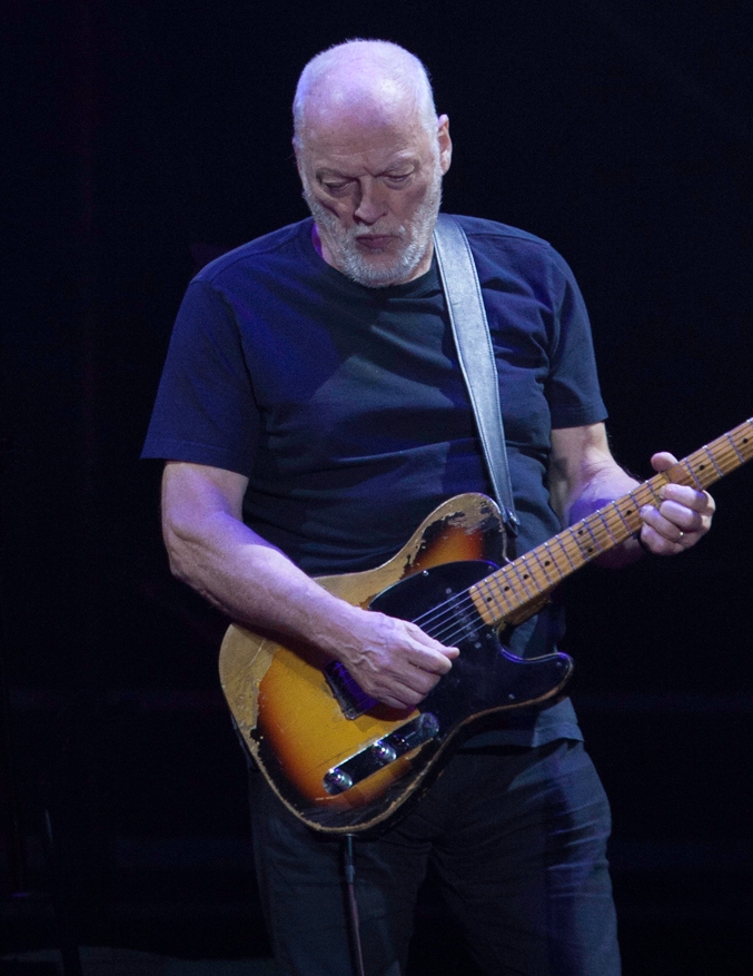 auteur David Gilmour