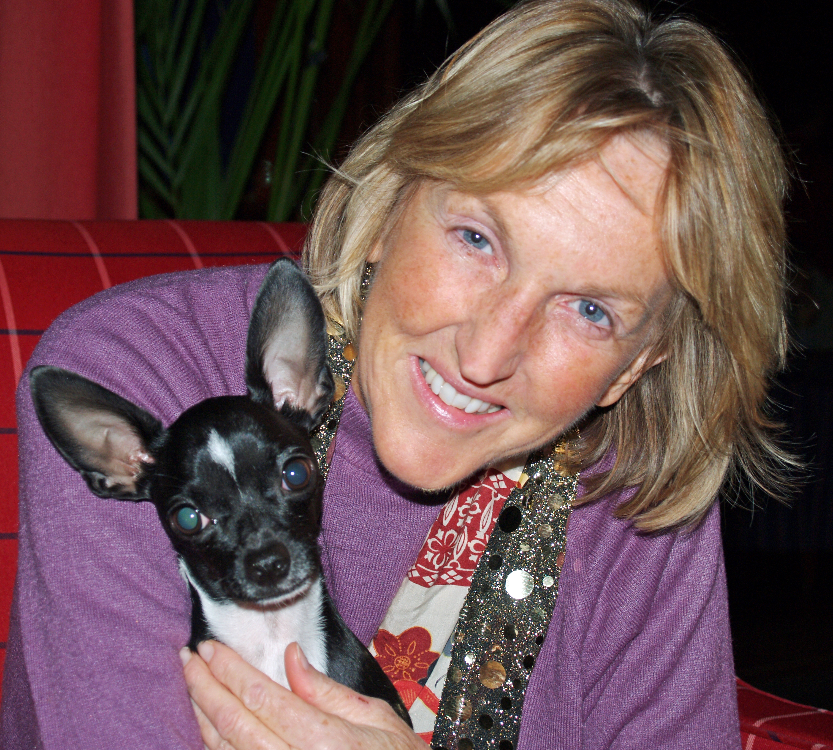 auteur Ingrid Newkirk de la citation Chaque animal a son histoire, ses pensées, ses rêveries et ses intérêts. Tous ressentent la joie et l'amour, la douleur et la peur, comme nous le savons maintenant au-delà de l'ombre d'un doute. Tous méritent que l'animal humain leur donne le respect d'être pris en charge avec une grande considération pour ces intérêts ou laissés en paix.