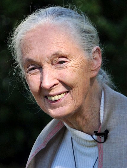 auteur Jane Goodall de la citation Avant tout, nous devons réaliser que chacun de nous fait une différence dans sa vie. Chacun de nous a un impact sur le monde qui nous entoure chaque jour. Nous avons le choix d'utiliser le don de notre vie pour rendre le monde meilleur - ou de ne pas nous embêter