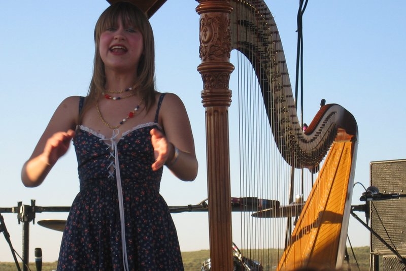 auteur Joanna Newsom de la citation Je ne peux pas jouer mes chansons sur la plus petite harpe. J'ai une harpe celtique. Je ne peux pas faire les modifications clés.