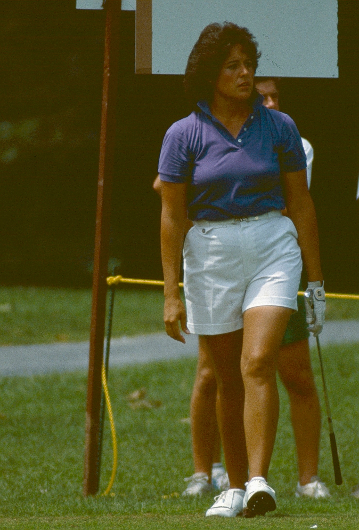 auteur Nancy Lopez de la citation Je n'ai jamais appris à mes filles à jouer au golf; Ils ont tous joué au softball.