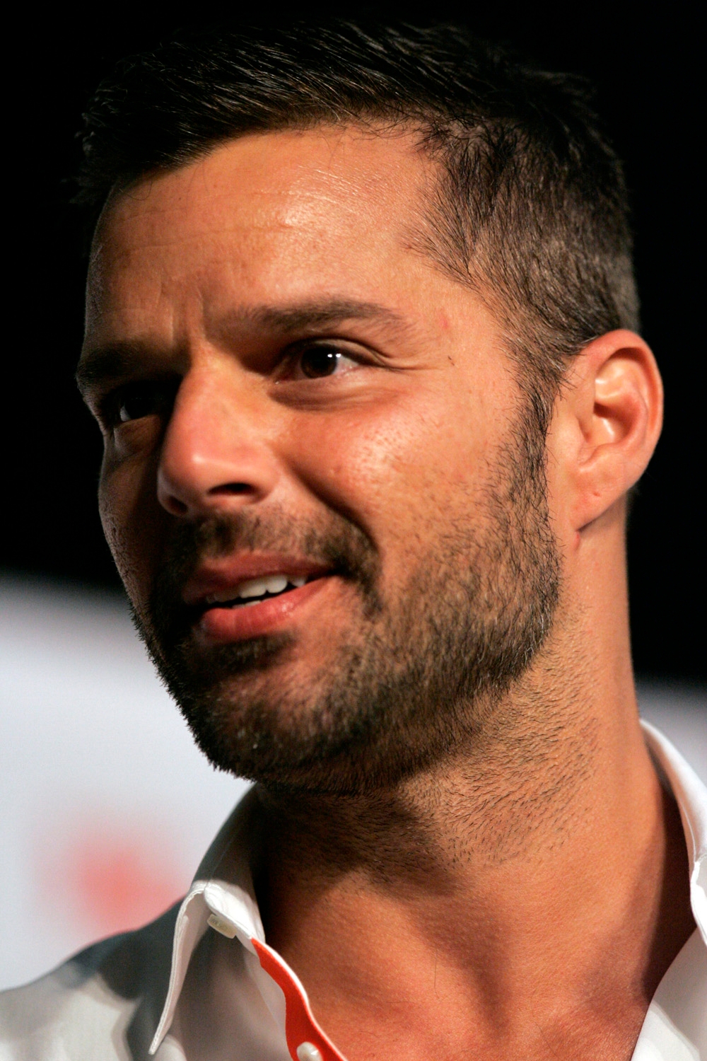 auteur Ricky Martin