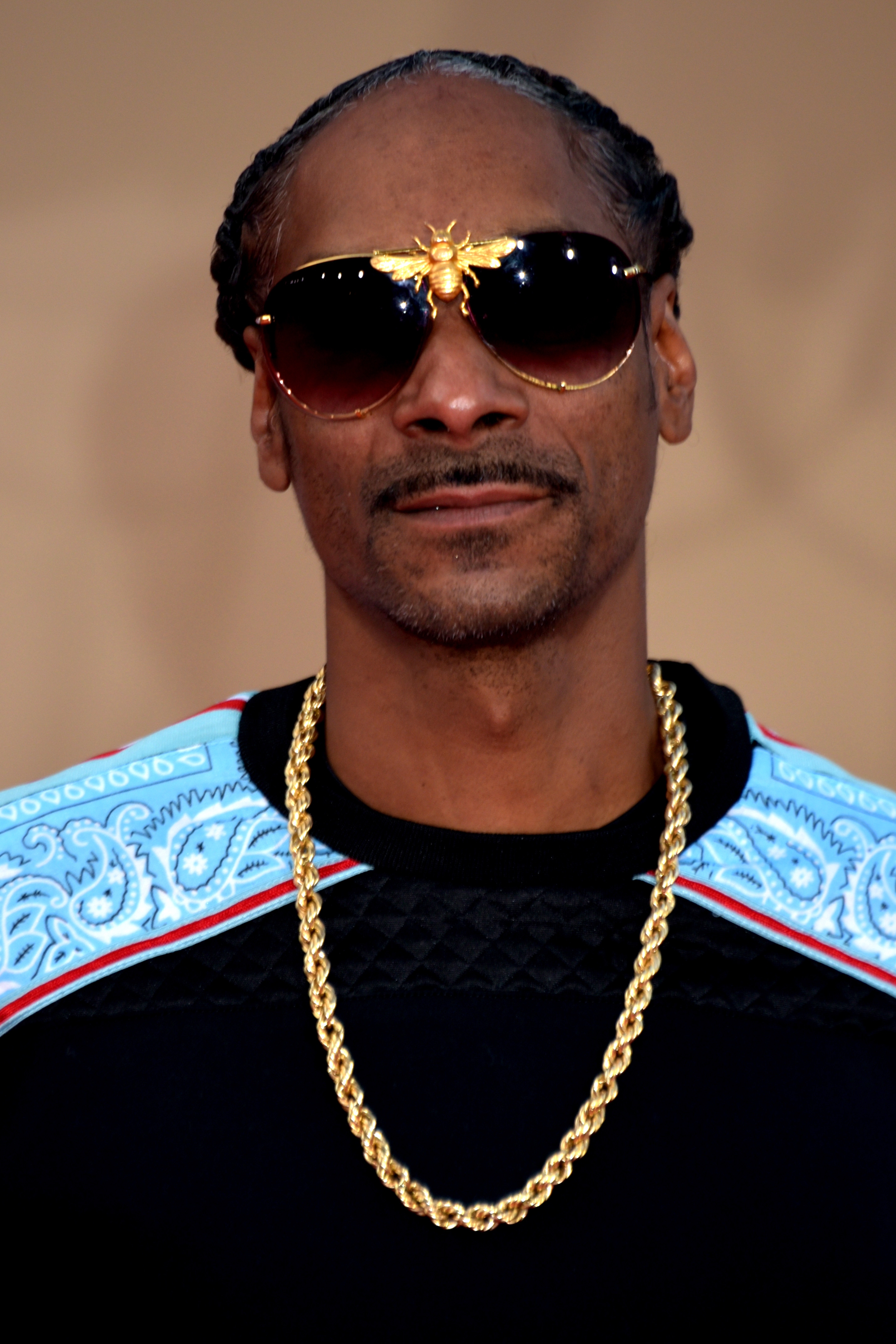 auteur Snoop Dogg