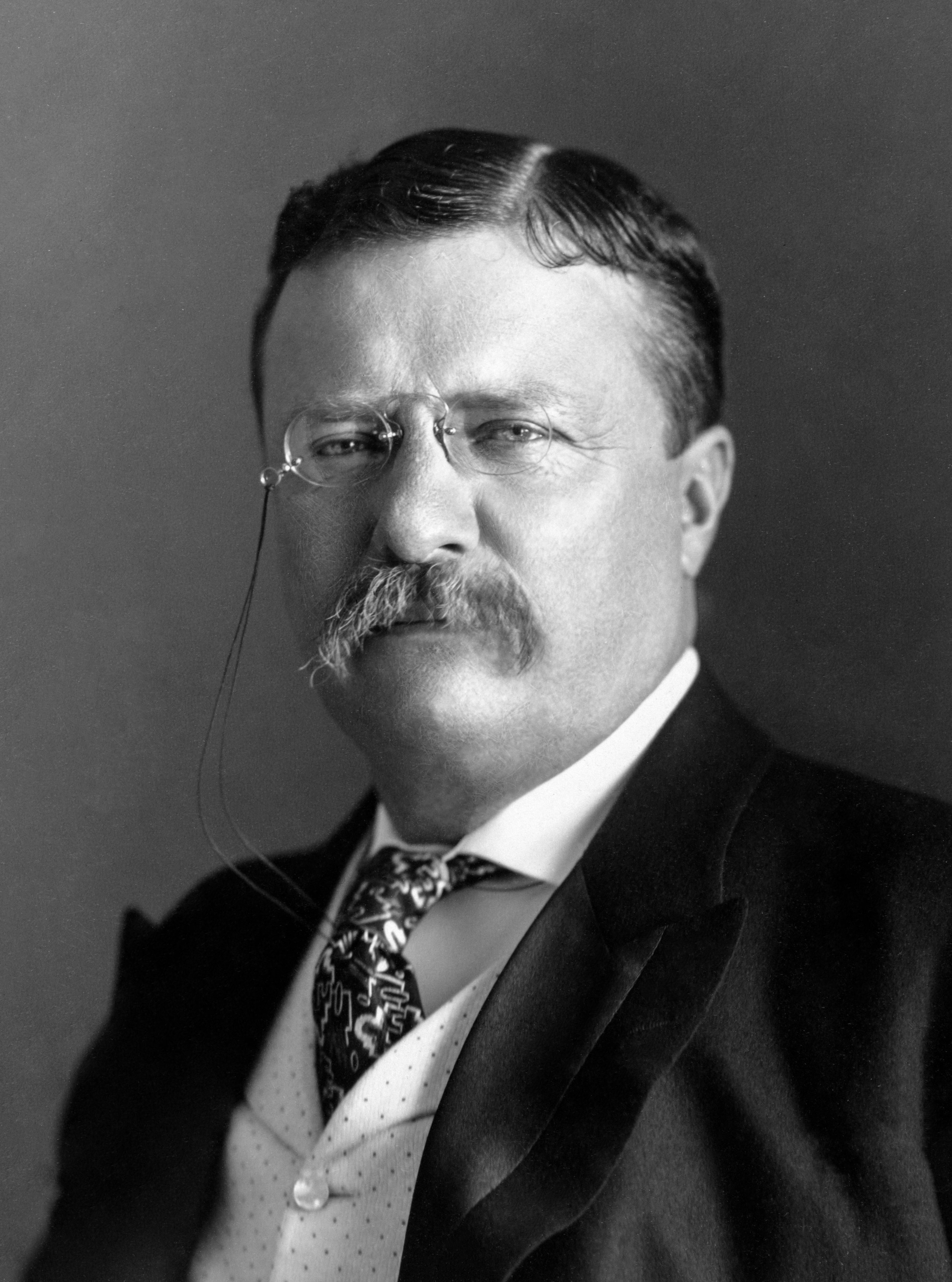 auteur Theodore Roosevelt de la citation Crois que tu le peux et tu es à la moitié du chemin.