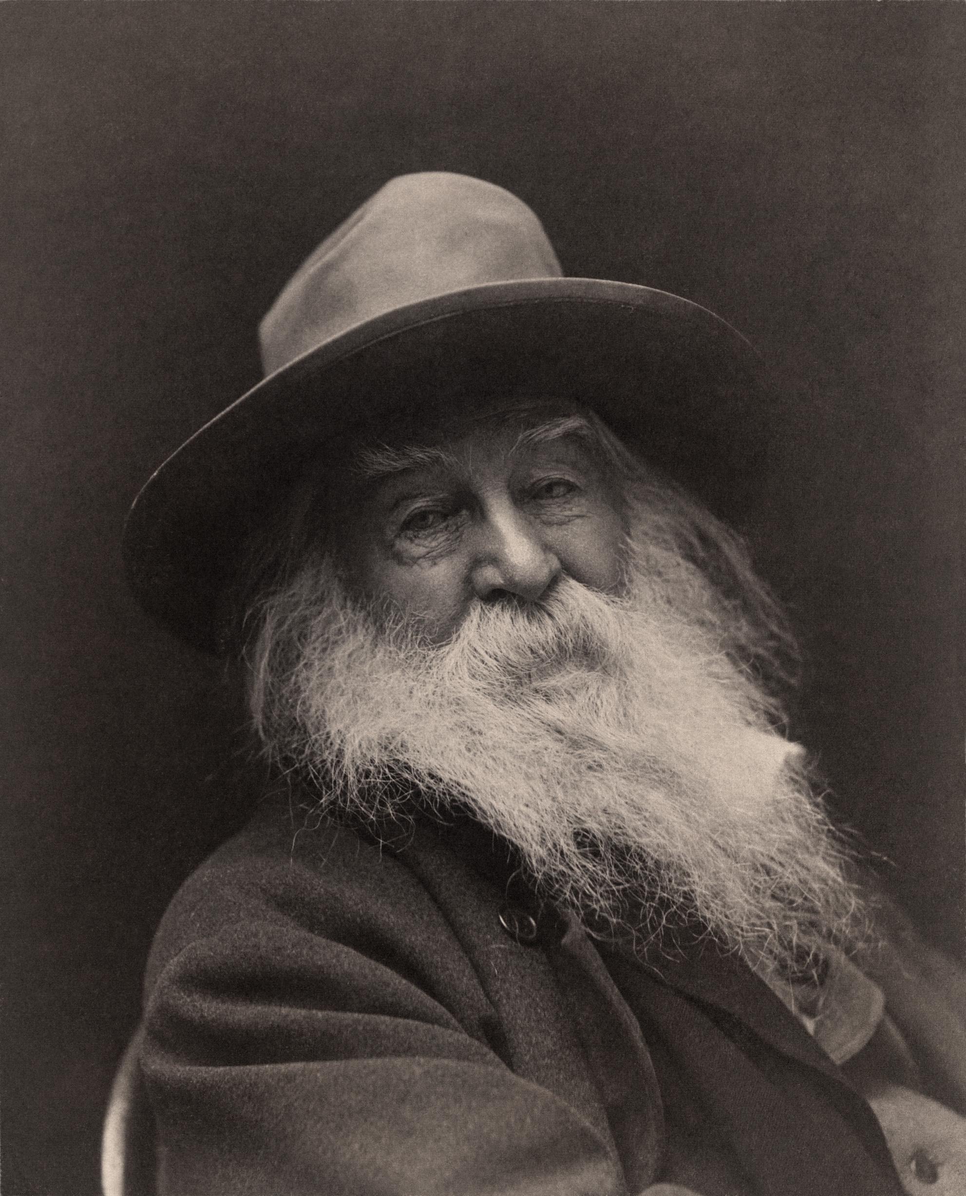 auteur Walt Whitman