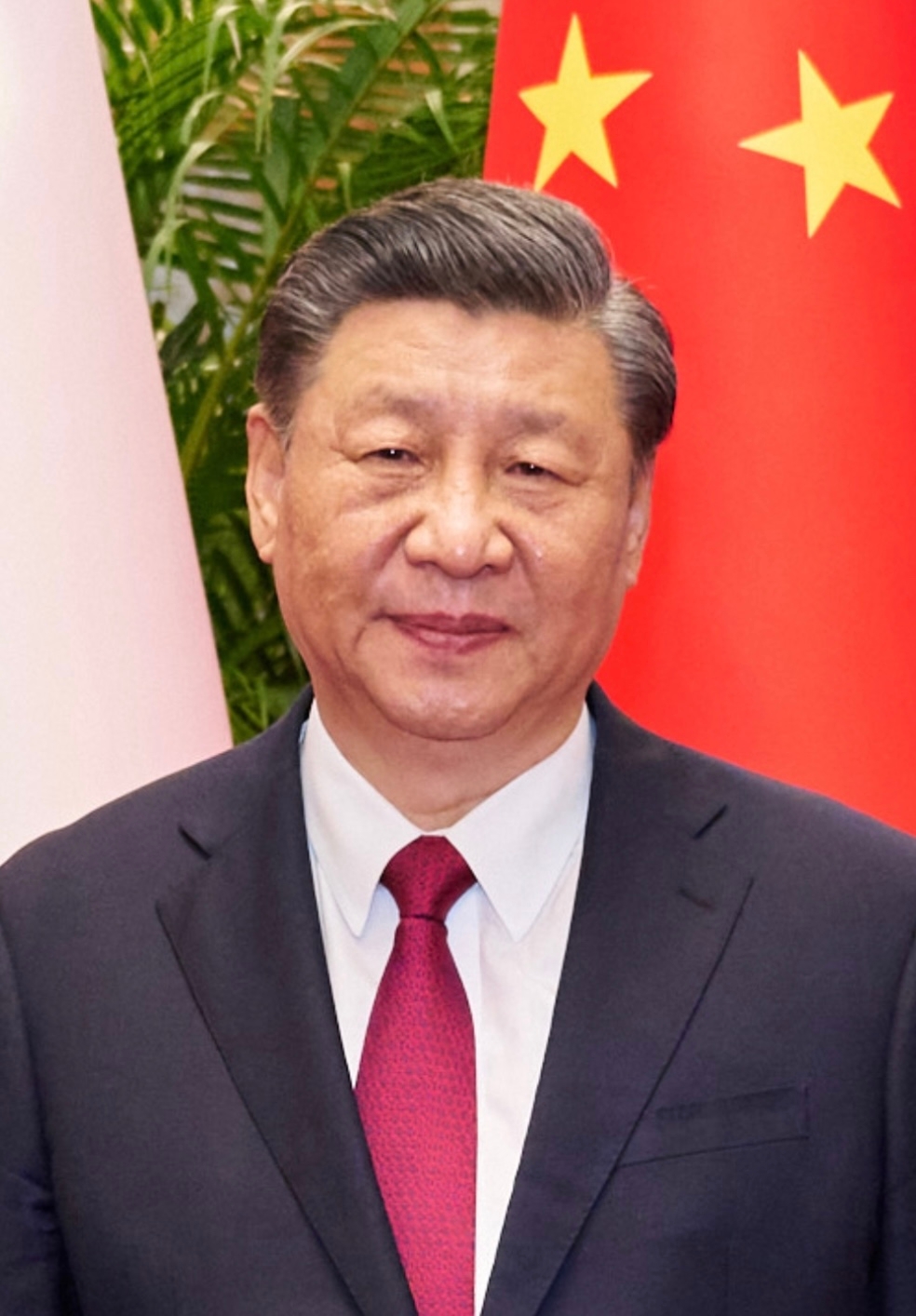 auteur Xi Jinping de la citation La sauvegarde des intérêts de nos compatriotes de Taiwan et l'élargissement de leur bien-être sont l'engagement et la promesse solennels du continent des nouveaux dirigeants du Comité central du Parti communiste chinois.