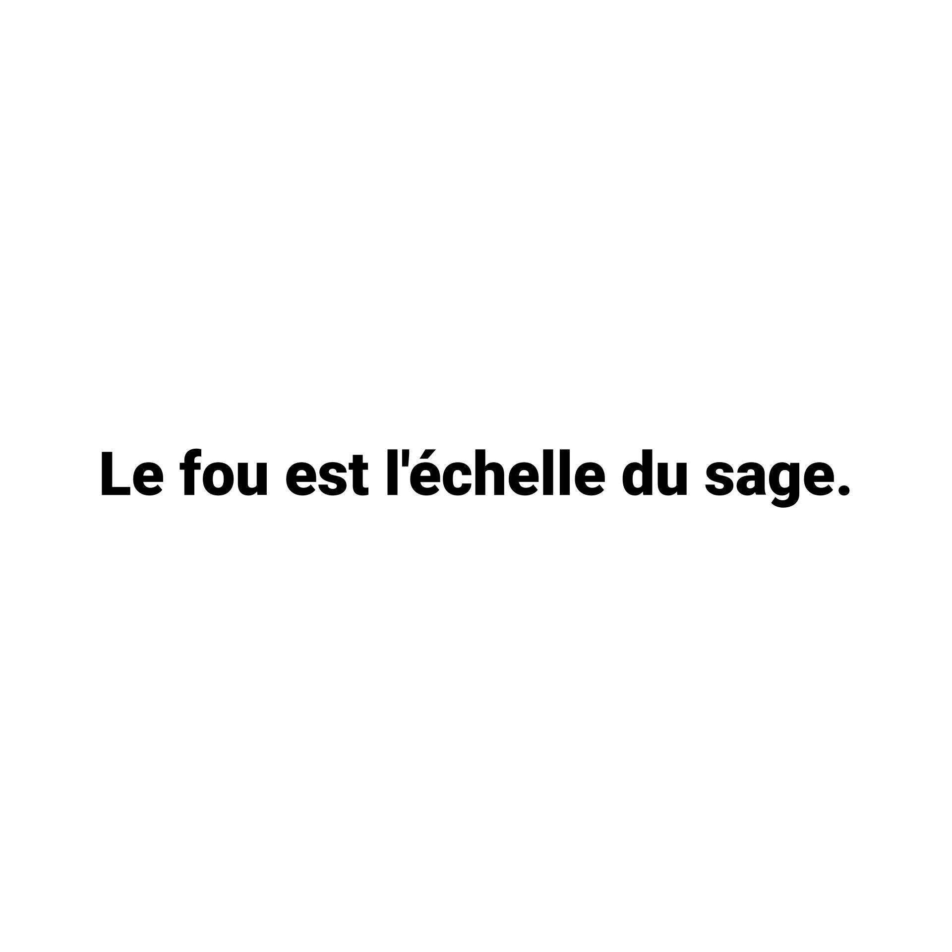 montage proverbe Le fou est l'échelle du sage.